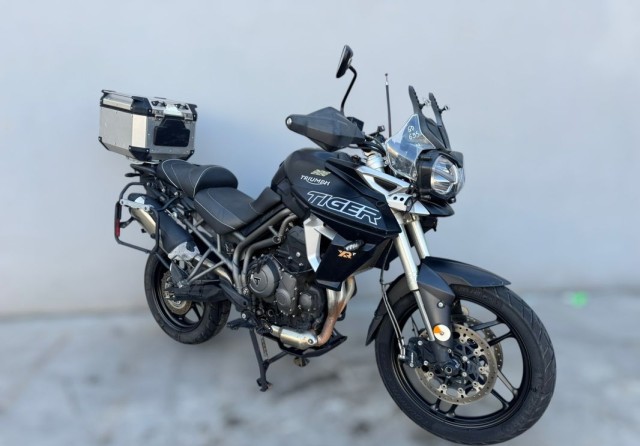 triumph